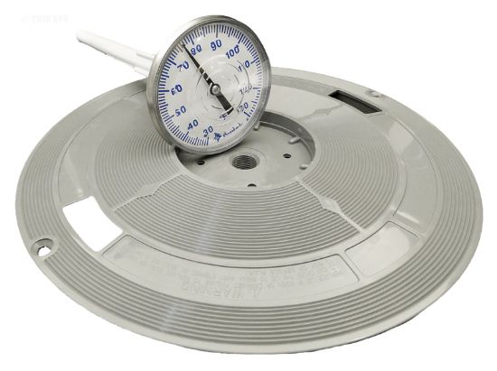 SKIMMER LID 9 7/8IN GREY WITH THERMOMETER PENTAIR L1G