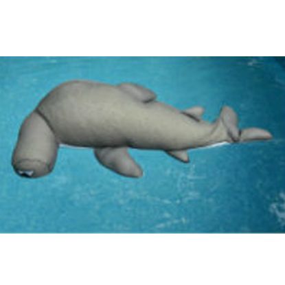 SEASIDE RIDER NAILS SHARK 305591