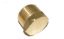 LAARS 3/4IN BRASS PLUG P0027000+