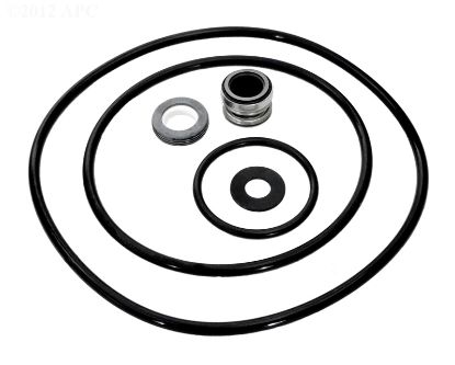 DYNA GLAS SEAL KIT PP3000