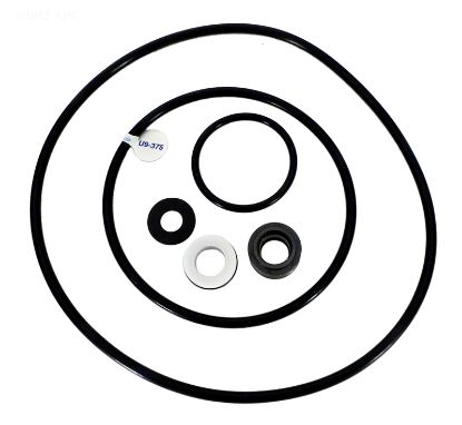 PRTS PAK SEAL/O-RING KIT PENTAIR PP4000
