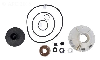 P4 OVERHALL KIT PP4011
