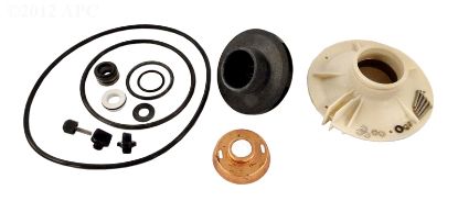 PRTS PAK-OVERHAUL KIT - PENTAIR PP4012