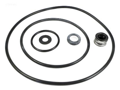 PARTS PAK SEAL/O-RING KT PENTAIR PP4200