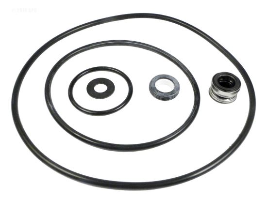PARTS PAK SEAL/O-RING KT PENTAIR PP4200