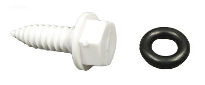 DRAIN PLUG ASSEMBLY 6-507-00