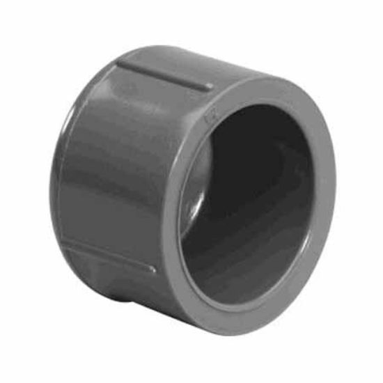 .25IN SKT CAP SCHEDULE 80 GRAY 847-002