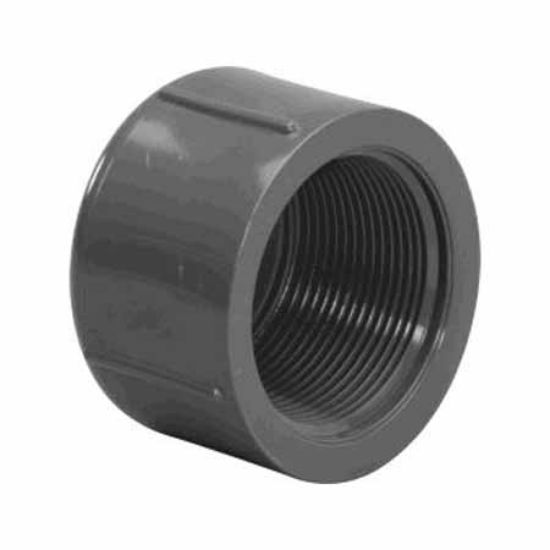 .25IN FPT CAP SCHEDULE 80 GRAY 848-002