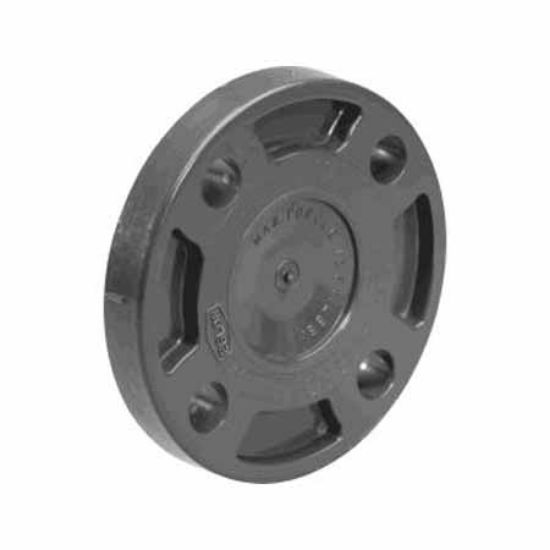 .5IN BLIND FLANGE SCHEDULE 80 GRAY 853-005
