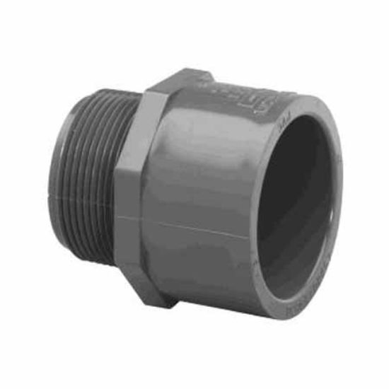 1.5IN MPT X SKT MALE ADAPTER CPVC SCHEDULE 80 GRAY 9836-015