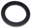 LAARS FLO-CONTROL GASKET R0011400