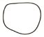FILTER TANK O-RING CL/DEL FILTER. JANDY R0357800