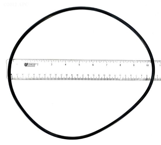 O-RING  BACKPLATE R0446300