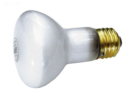 LAMP 60W 120V SPA JANDY R0450505