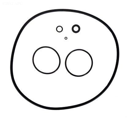 O-RING SET R0466300