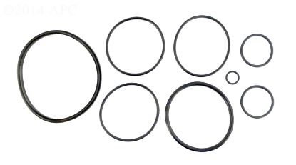 NATURE2 FUSION O-RING KIT R0502500