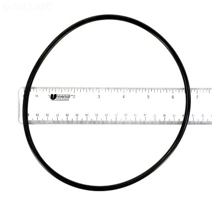 POLARIS BOOSTER PUMP PARTS O-RING  BACKPLATE  PB4-60 R0536600