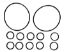 O-RING KIT R0552400