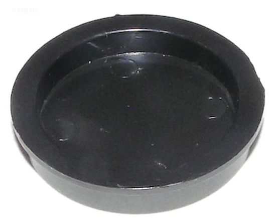 PLUG TO DISABLE BYPASS  B R172225X