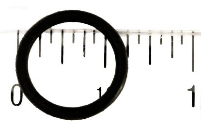 PLUG O-RING RAINBOW R172393