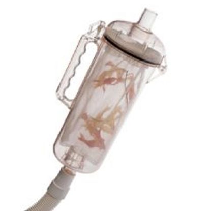 **LEAF TRAP #186 KREEPY R211084K