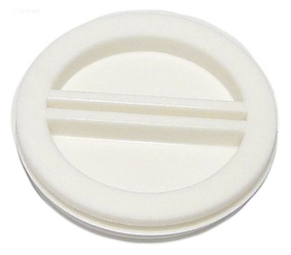 RAINBOW #852 2IN THD.PLUG FLUSH PLUG R22011