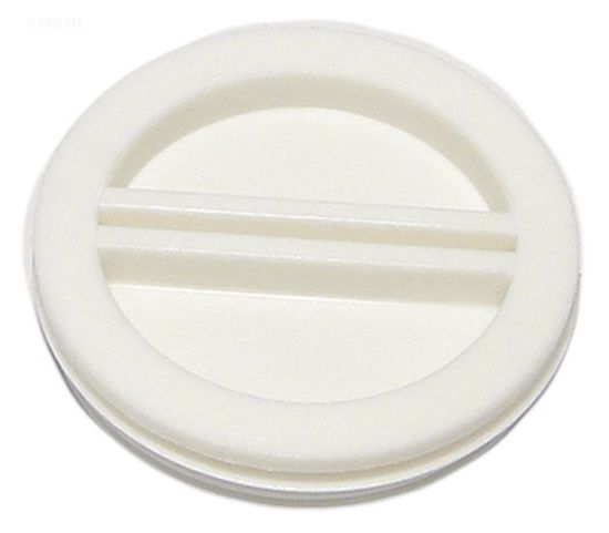 RAINBOW #852 2IN THD.PLUG FLUSH PLUG R22011