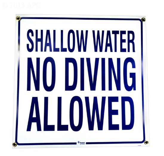 NO DIVING(SC) SIGN R233800