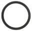 GASKET 3IN w/ORING RIB UNI-NUT AQUATEMP HEATER AT RMG-02-674