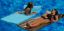SOFTIE POOL FLOAT BRONZE 8070018
