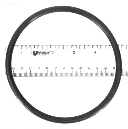 O-RING  LID O19 U9-161