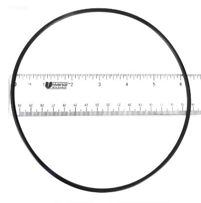 SEAL PLATE O-RING STARITE U9-169