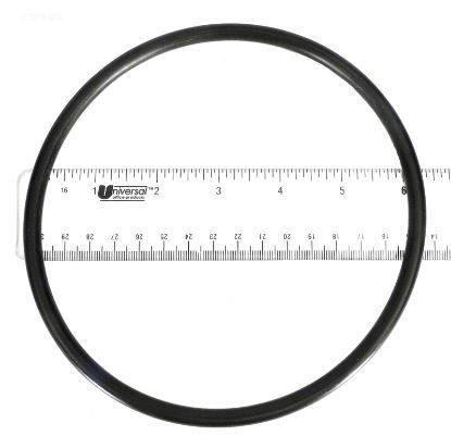 O-RING LID STARITE APCO13 U9-46