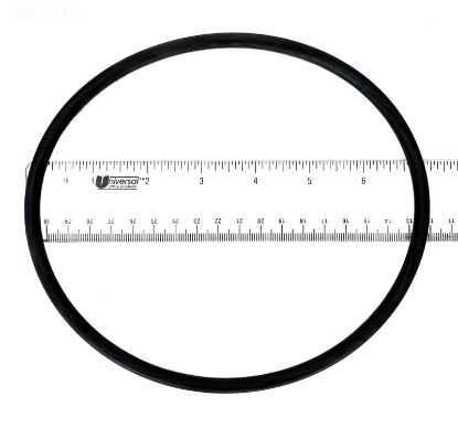 WET INSTITUTE LID ORING V65-103