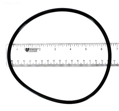 NATURE2 O-RING W13064