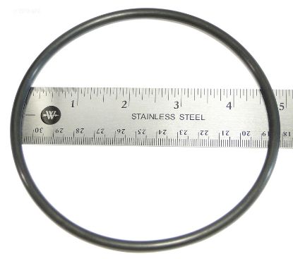 CHLORINE O-RING W13068