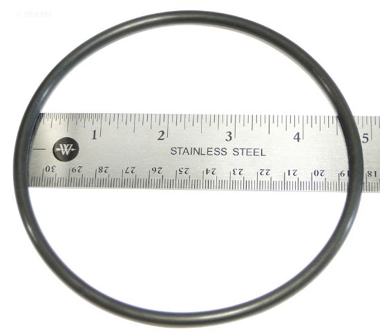 CHLORINE O-RING W13068