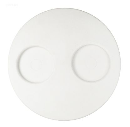 FILTER NICHE 10IN COVER WHITE TOP LOAD FILTERS WATERWAY 519-1080