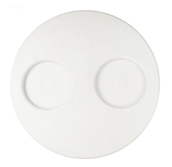 FILTER NICHE 10IN COVER WHITE TOP LOAD FILTERS WATERWAY 519-1080