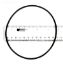 VOLUTE O-RING IRON MIGHT 805-0248