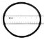 O-RING TRAP LID O318 APCO2142 805-0436