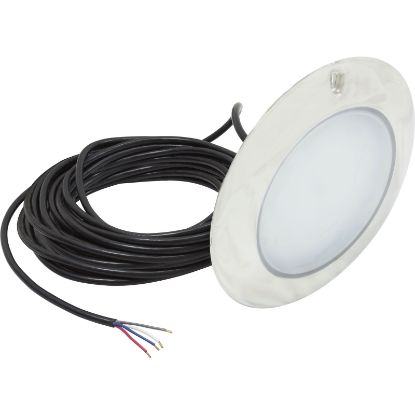 Picture of PAL Even Glow LED large  replacment Swimming Pool Light   Large Niche Light, RGB, 12vdc 80ft, SS Escutcheon 
