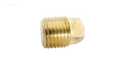 Picture of .25IN MPT BRASS SQUARE HEAD PLUG