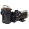 1 Hp Power-Flo Lx Pump W/Cord
