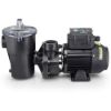 1 Hp Power-Flo Lx Pump W/Cord