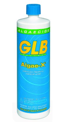 1 QT. ALGAE-X 30% POLYQUAT ALGAECIDE GLB GL71100EACH