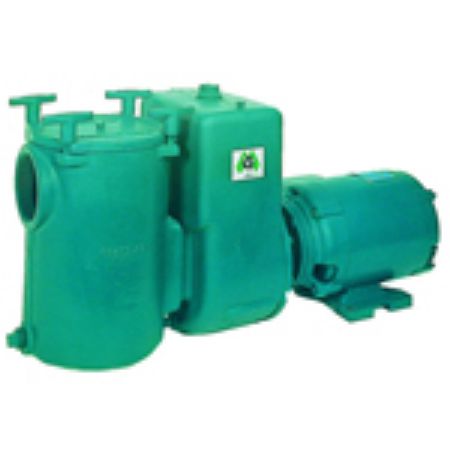 Picture for category Cast Iron 3-Phase Pumps