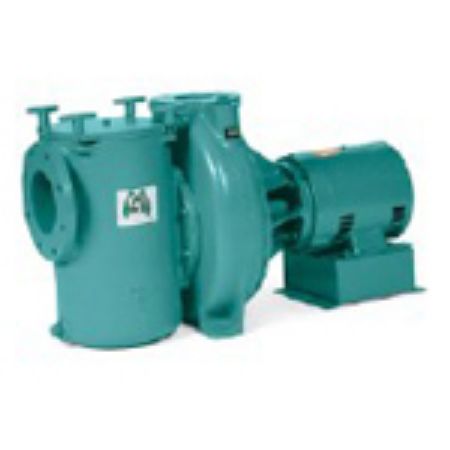 Picture for category Cast Iron Self-Priming Pumps
