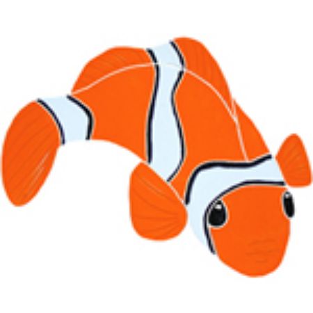 Picture for category Clown Fish