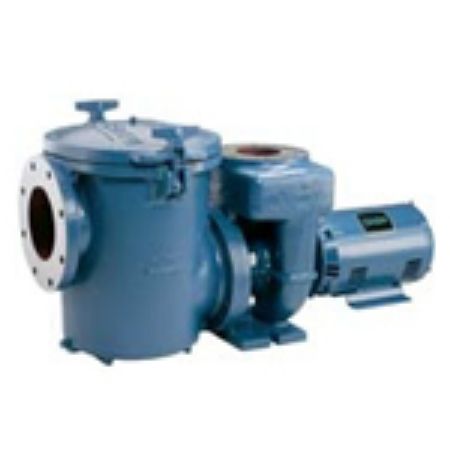 Picture for category CSP Pump Cast Iron Hair & Lint Pot